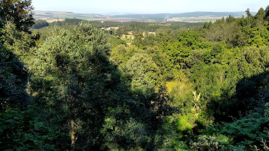 Evergreen Cabin Karkloof Villa Yarrow Kültér fotó