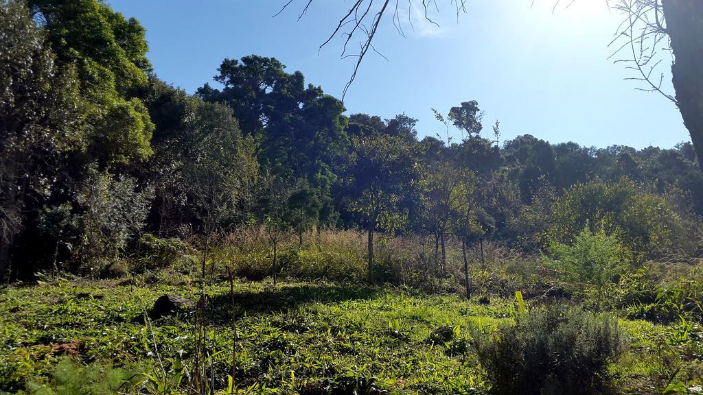 Evergreen Cabin Karkloof Villa Yarrow Kültér fotó